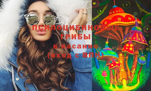мяу мяу мука Арсеньев