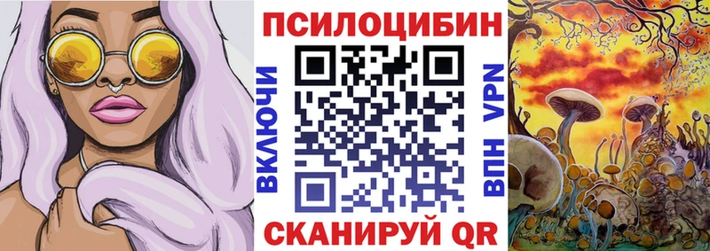 KRAKEN как зайти  Арсеньев  Галлюциногенные грибы Psilocybe  как найти  